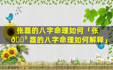 张磊的八字命理如何「张 🌳 磊的八字命理如何解释」